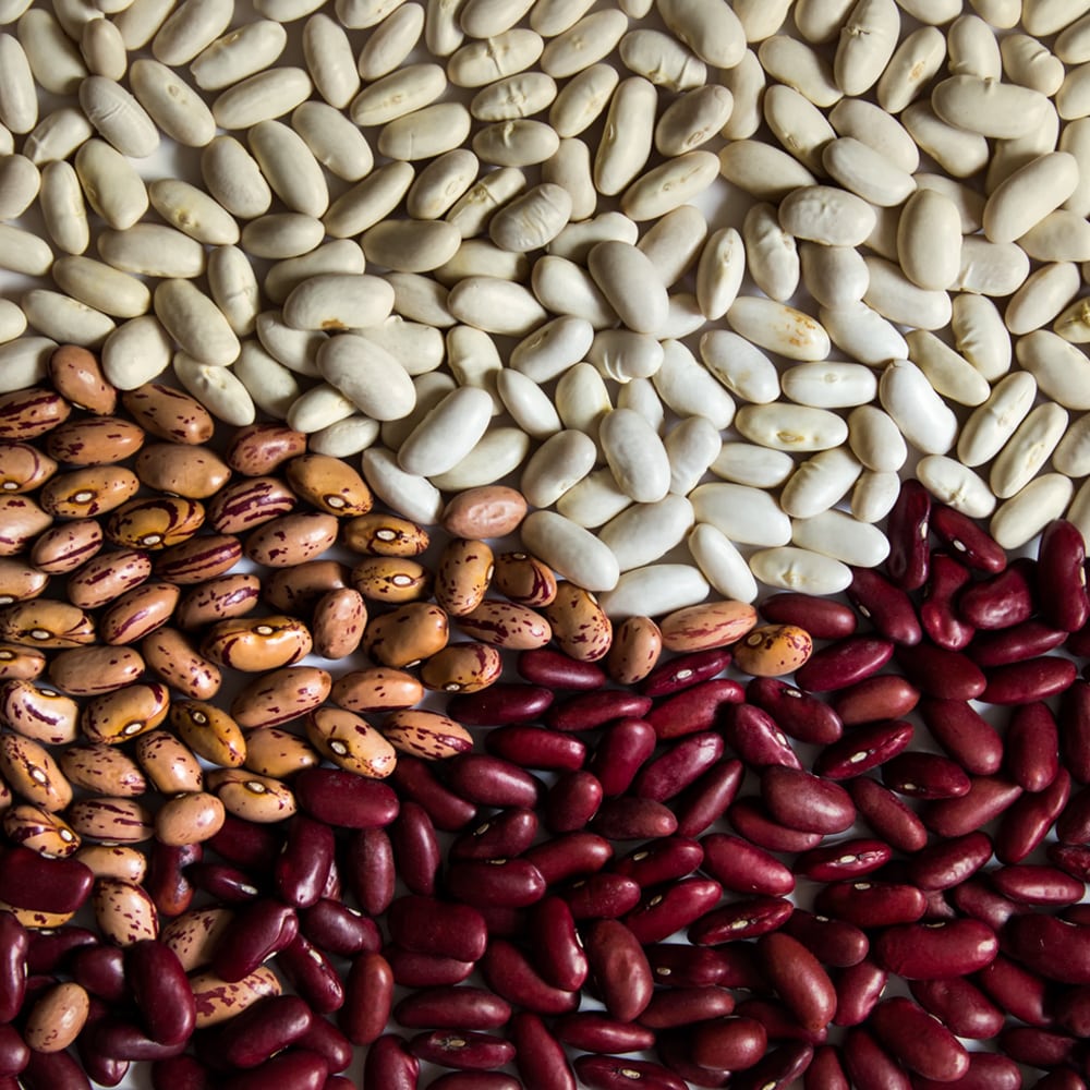 kidney-beans uttarakand